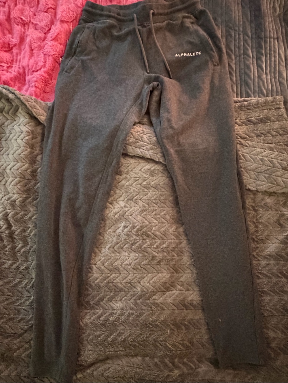 Alphalete Identity gray joggers women’s
